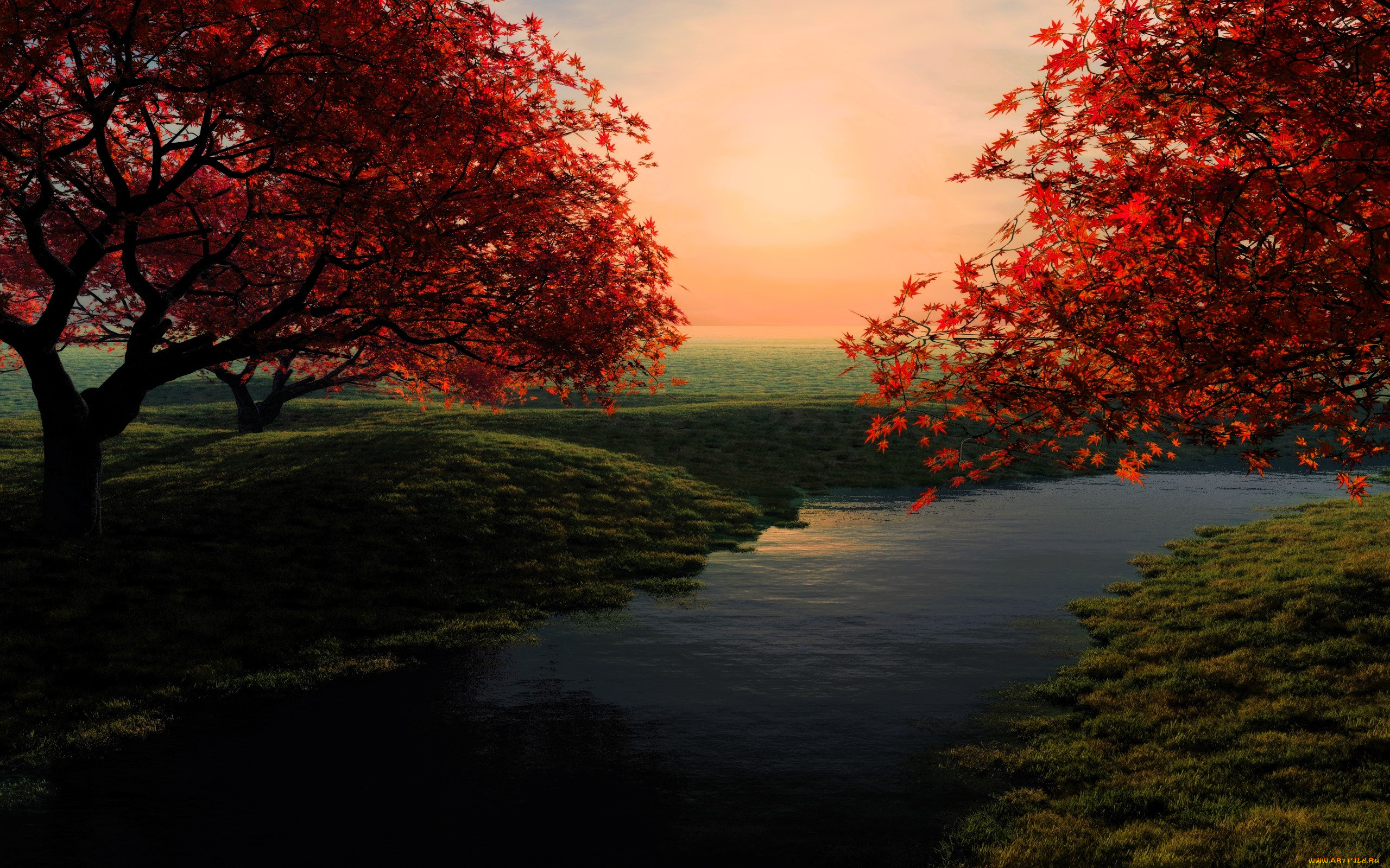 3 ,  , nature, , , 